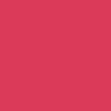 Triangolo bikini alto con coppe imbottite estraibili - FUXIA - DN05